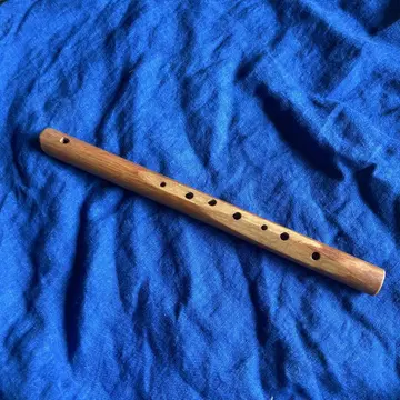 코로이 플루트 리코더 슈타이너