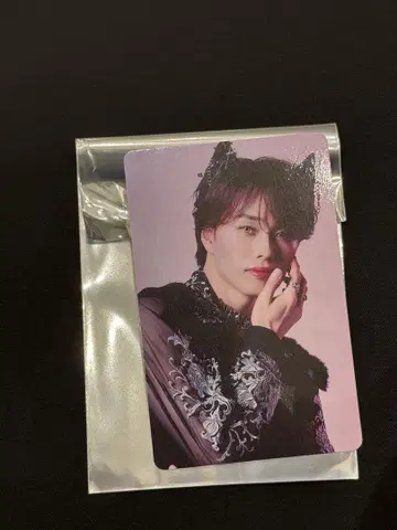 초특급 NINE LIVES 타워 레코드 트레이딩 카드 마사히로