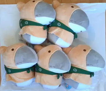 외출 아기상어 바닷가 친구들 모자 쓴 봉제 인형 아기상어 5세트