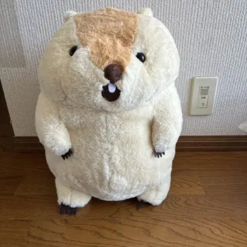 AMUFUN 마모트의 더더욱 외치는 더더욱
