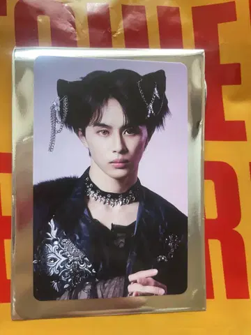 초특급 NINE LIVES 타워 레코드 트레이딩 카드 혜택 타쿠야