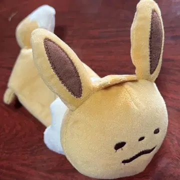 이브이 펜 케이스