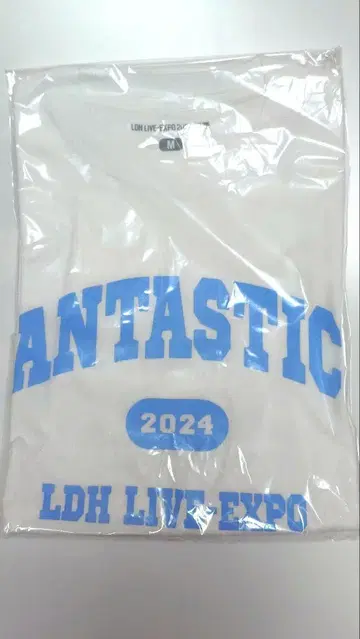 FANTASTICS LDH LIVE EXPO 2024 티셔츠 M 사이즈
