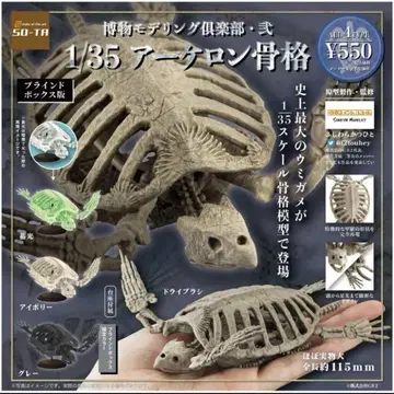 1/35 아케론 골격 4종 컴플리트 새상품 피규어 캡슐 토이