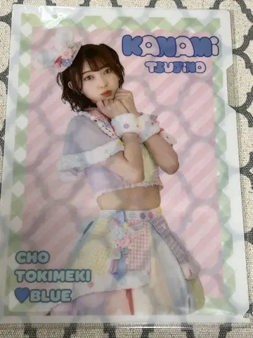 츠지노 카나미 클리어 파일