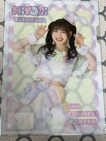 요시카와 히요리 클리어 파일