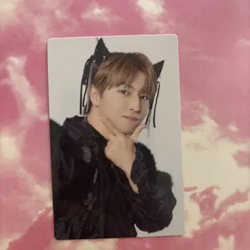 초특급 NINE LIVES 완전 생산 한정판 타카시 트레이딩 카드