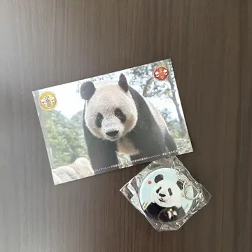 샹샹 아크릴 키링 엽서 세트