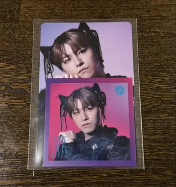 초특급 NINE LIVES 타워 레코드 트레이딩 카드 스티커 타카시