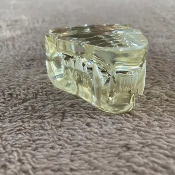 고양이 치아 모형