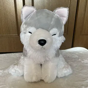 복슬복슬 늑대