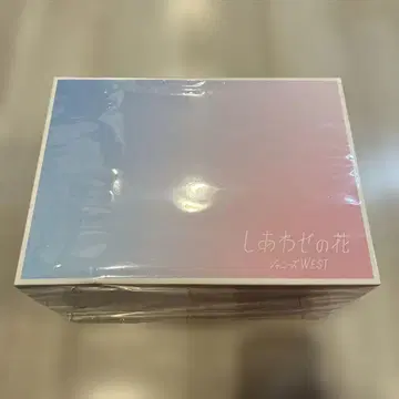 WEST. 행복의 꽃 특전 굿즈 (행복한 녀석) 쿠션 CD
