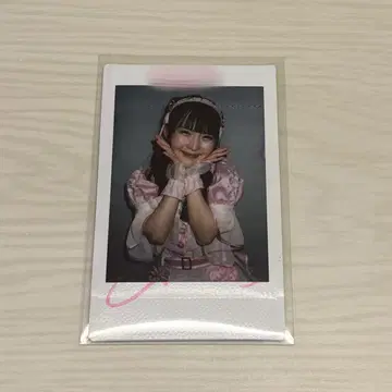 논피크! GILTYxGILTY 길길 코이보시 하루카 폴라로이드 사인 포함