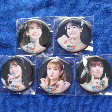 i Ris 프리파라 캔배치 5