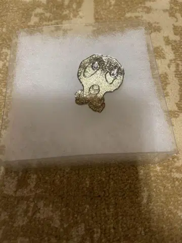 츠모리치사토 반지