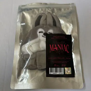 straykids 방찬 MANIAC 응원봉