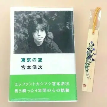 귀중! 미야모토 히로지 도쿄의 하늘 2003년 초판