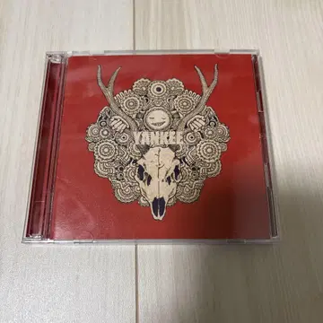 요네즈켄시 초회 한정판 YANKEE 영상판 CD DVD