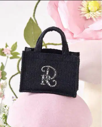 Darich DR 비쥬 미니 토트백 BLK