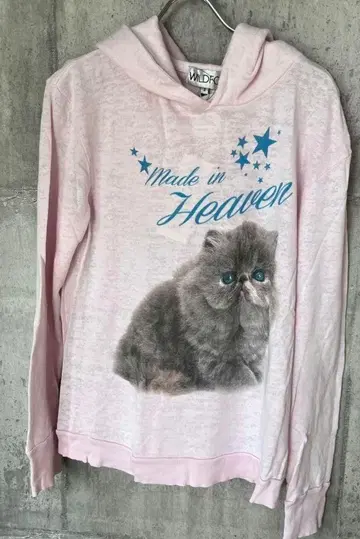 와일드 폭스 고양이 후드티