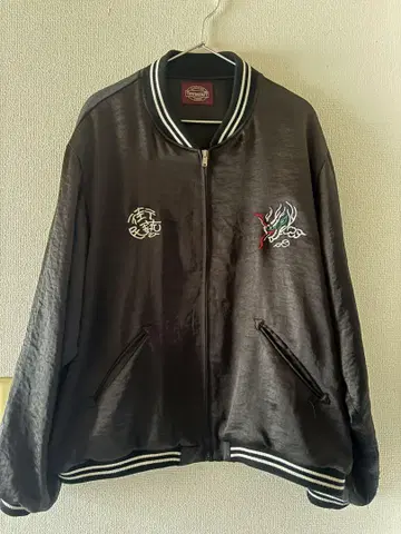 TOWN CRAFT IDEAL ZIP 스카잔 드래곤