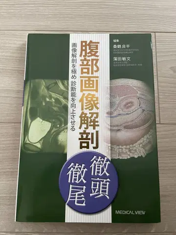 복부 이미지 해부