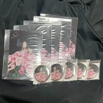 사토미군 2nd 정규 앨범 S's 특전 브로마이드 캔뱃지 초회A 5개