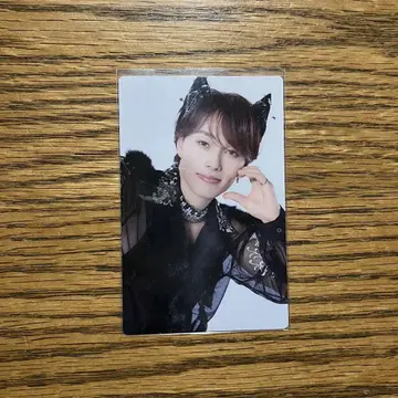 초특급 마사히로 NINE LIVES 완전 생산 한정판 트레이딩 카드