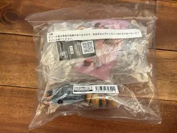 생물대도감 어드밴스 말벌 02 온라인판 키이로말벌