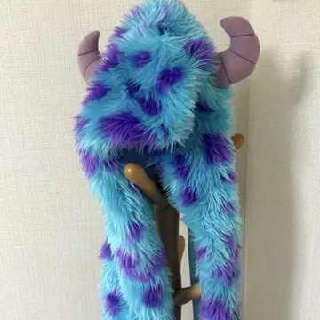샐리 뒤집어쓰기