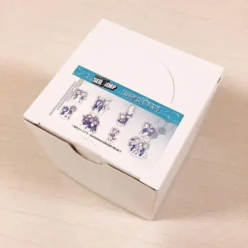 서뱀프 SERVAMP 아크릴 쁘띠 스탠드 그래프 아트 BOX 새상품