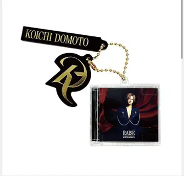 KOICHI DOMOTO RAISE CD 참  DOMOTO