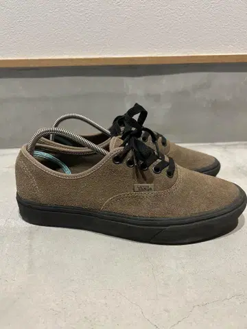 VANS COMFYCUSH AUTHENTIC SUEDE 오센틱