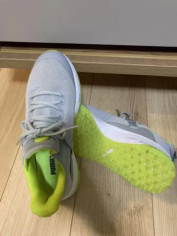 PUMA 골프화 FUSION EVO 193850