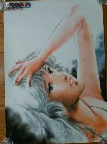 초시공 요새 마크로스 극장판 관련 포스터