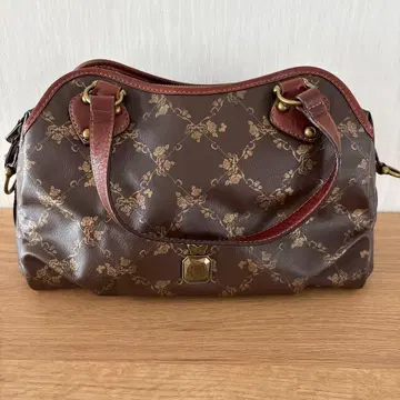 ANNA SUI 보스턴 백