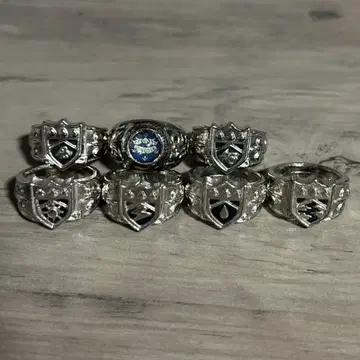 가정교사 히트맨REBORN! 구판 봉고레 반지 컴프 7종 전종 대공