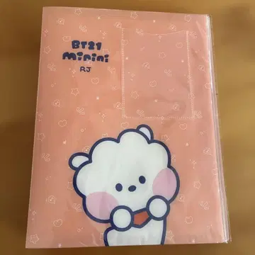 BT21 사진 앨범 RJ 오렌지 128포켓
