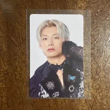 초특급 NINE LIVES HMV 오리지널 트레이딩 카드 알로하