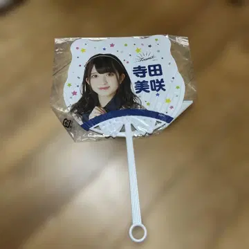 테라다 미사키 부채 별 패턴 디자인