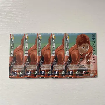 하이큐 매거진 부록 바보카 히나타 쇼요