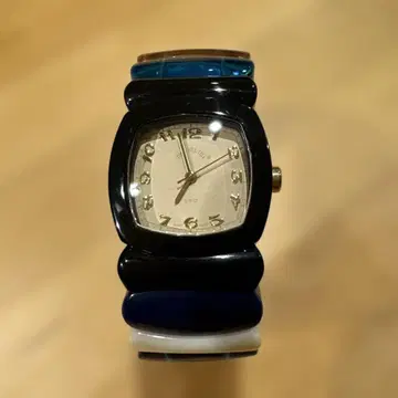 Time will tell 손목시계 (2025년 구매, 보증서 있음)