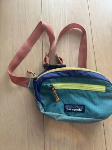 patagonia 라이트웨이트 미니 힙 팩