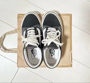 VANS 23.0
