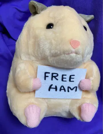 스케로쿠의 일상 [ 프리햄 BIG 봉제 인형 ]