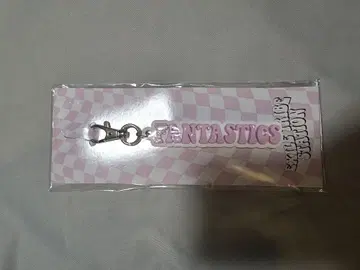 fantastics 러버 키링 러바키