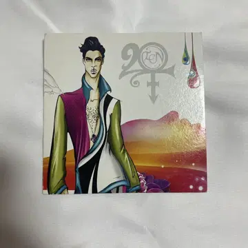 Prince 20Ten CD 레어
