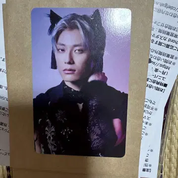 초특급 NINE LIVES 타워 레코드 트레이딩 카드 알로하