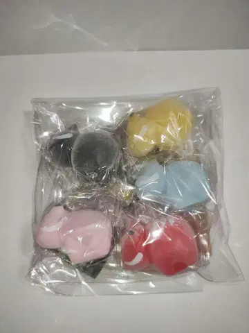 플로키 프렌즈 컬러풀 치비베코짱 5종 컴플리트