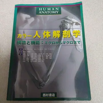 컬러 인체 해부학